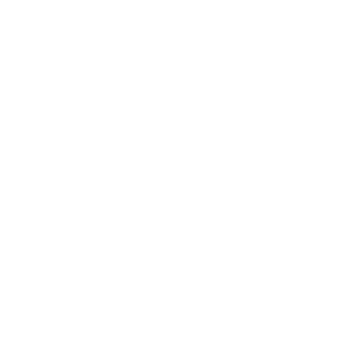 Automobile